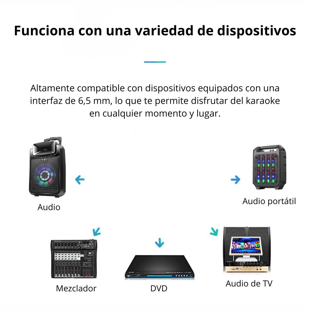 Micrófono con Cable Seisa M-58 Dinámico de Mano con Conector 6.5 mm para Karaoke y Amplificador