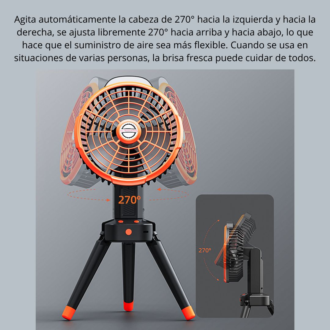 FS-X6