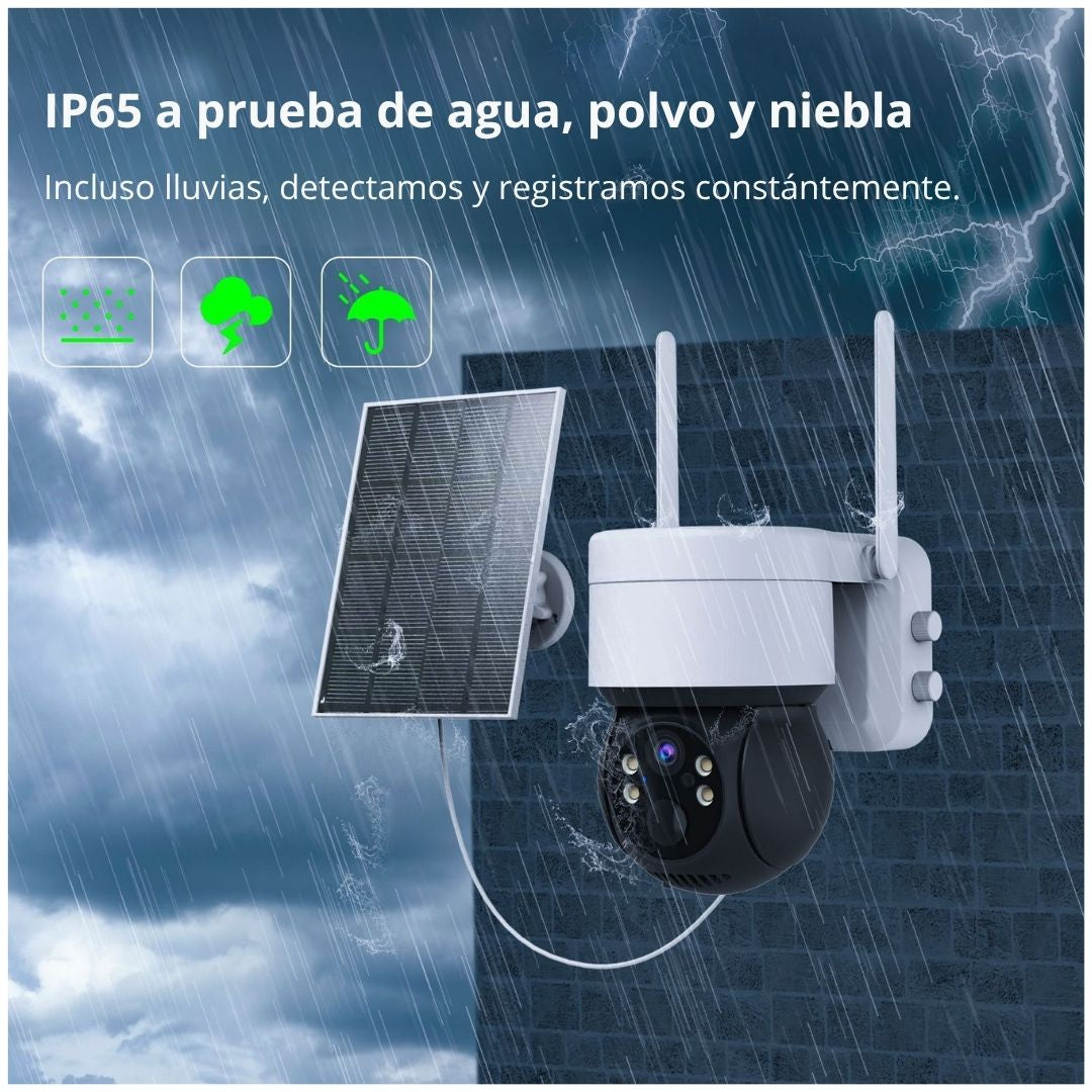 IC-Q6PRO