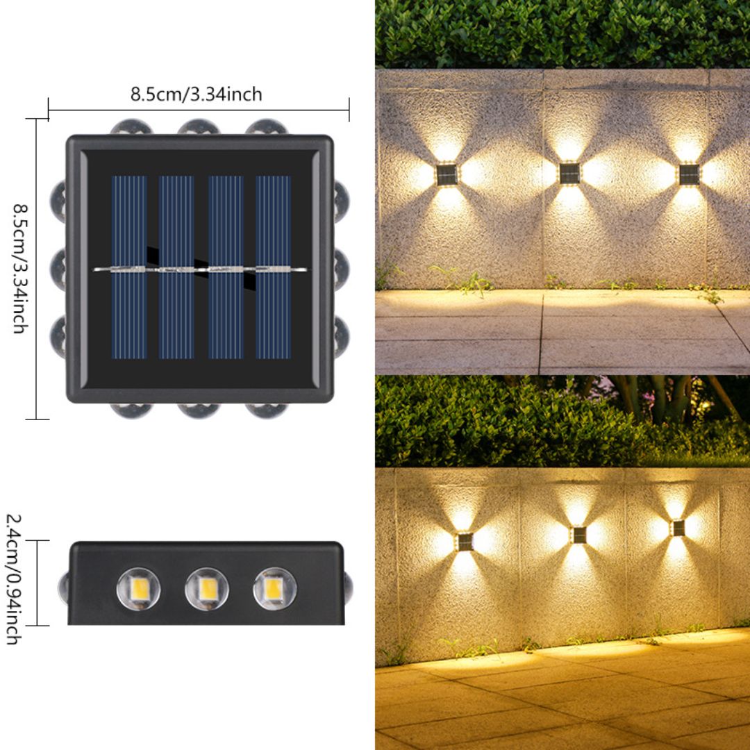 LED-12DWW