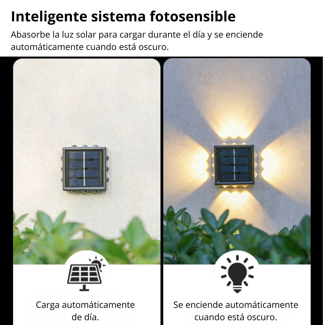 LED-12DWW