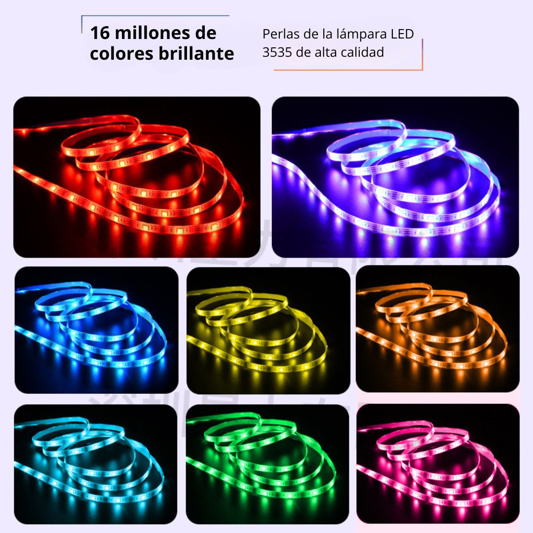 LED-16DRGB-24V