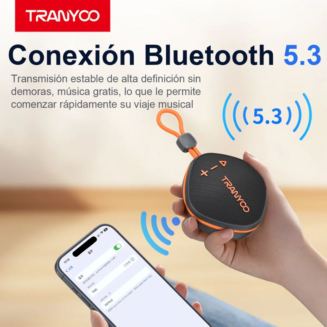 T-B16-N