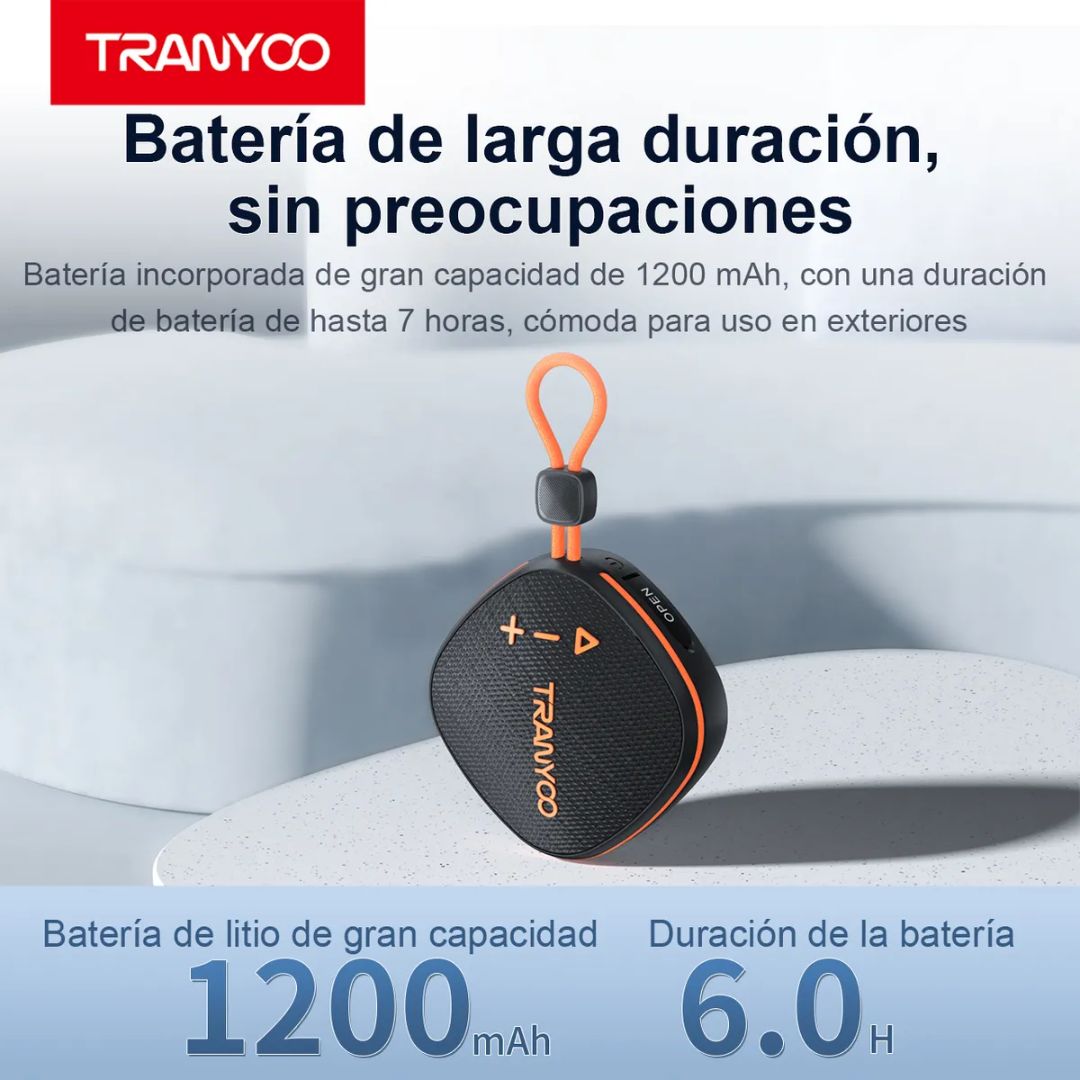 T-B16-N
