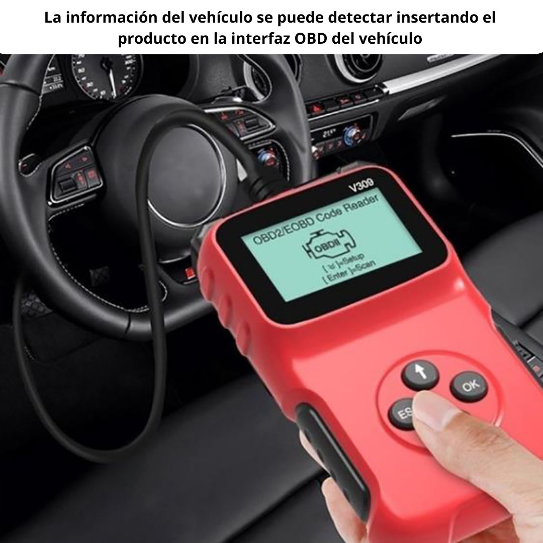 V309